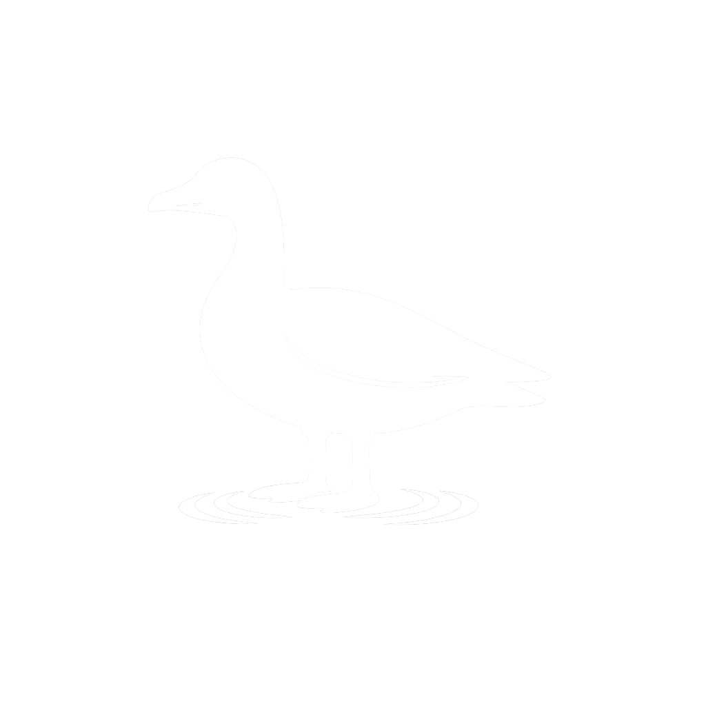 Graugans