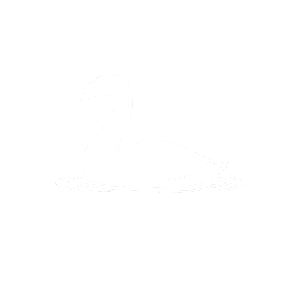 Höckerschwan
