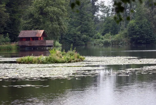 Lengwiler Weiher