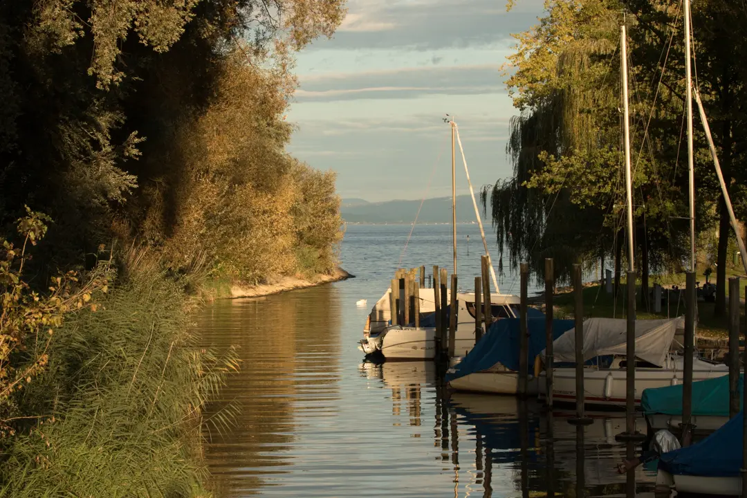 Salmsacher Aachmündung